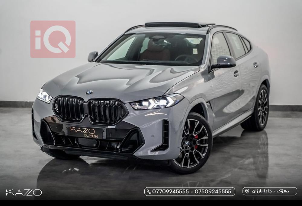 BMW X6